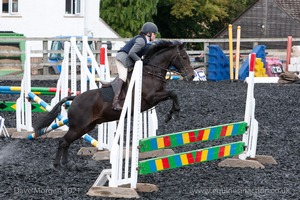 Class 5 - Fences not above 2'6